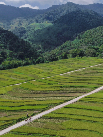 Half-day Trek/Walk Tour
